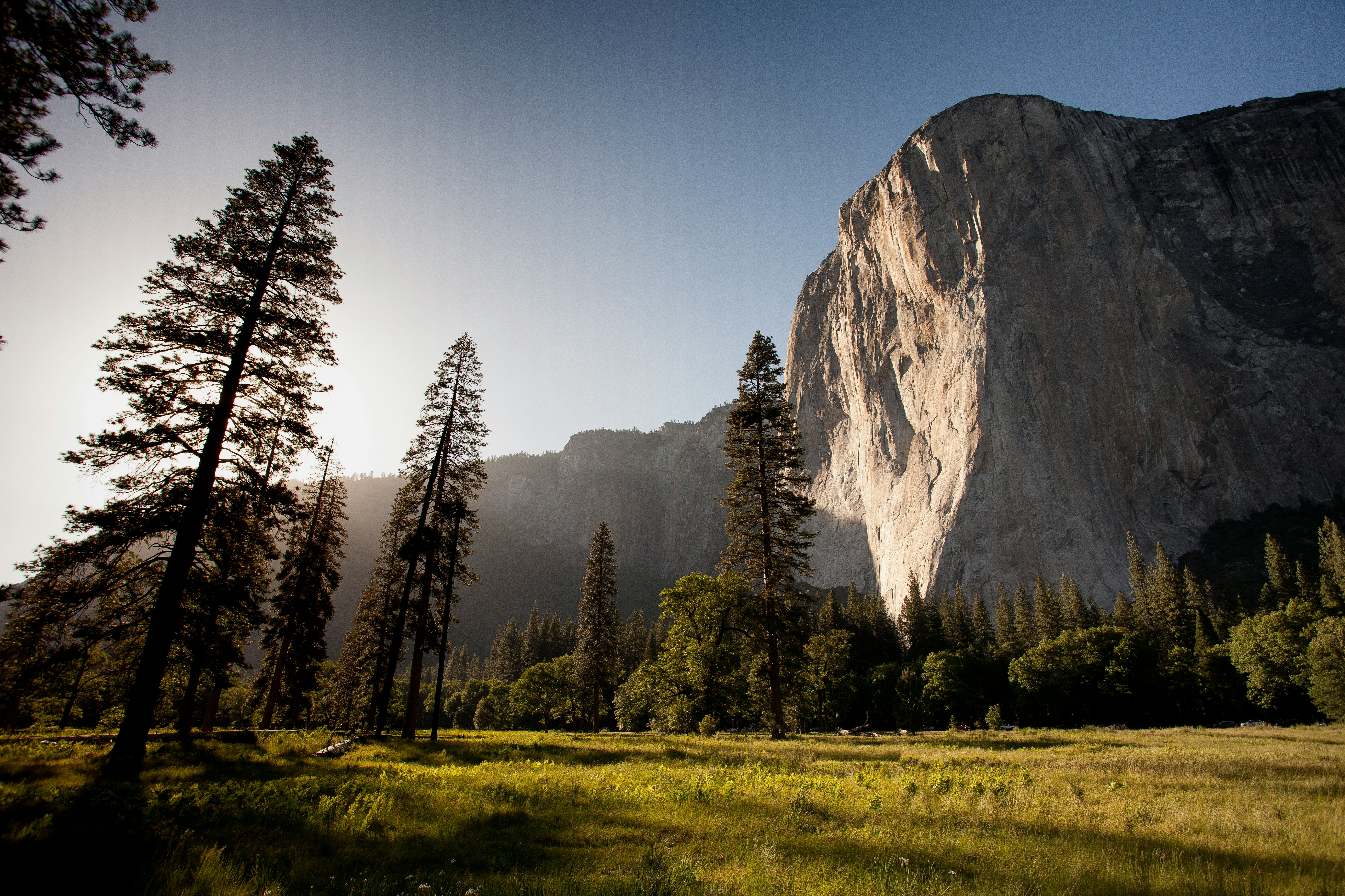 Spend Time in Nature: walking in a green park