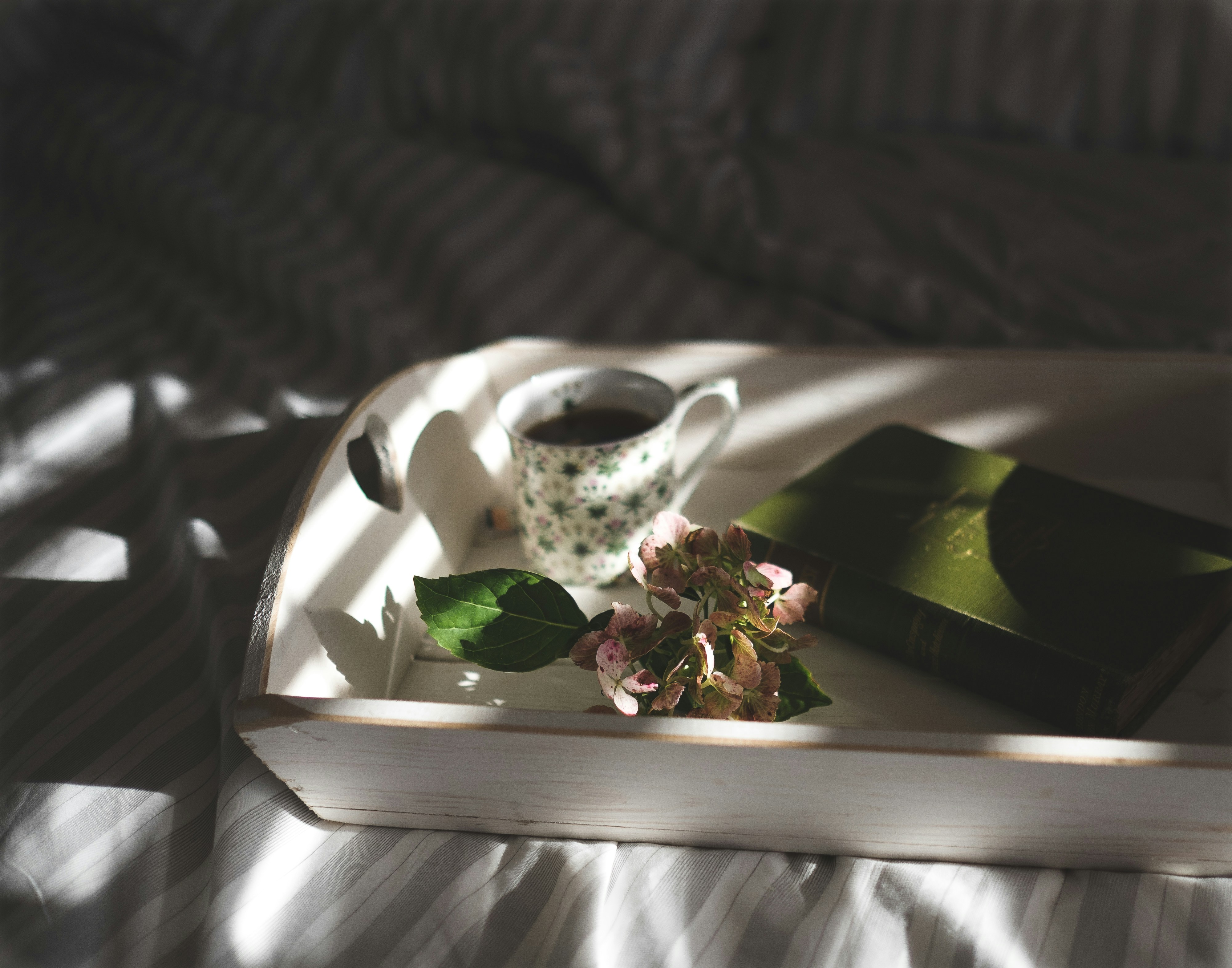 Self-care: relaxing with a book and tea